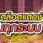 tara555